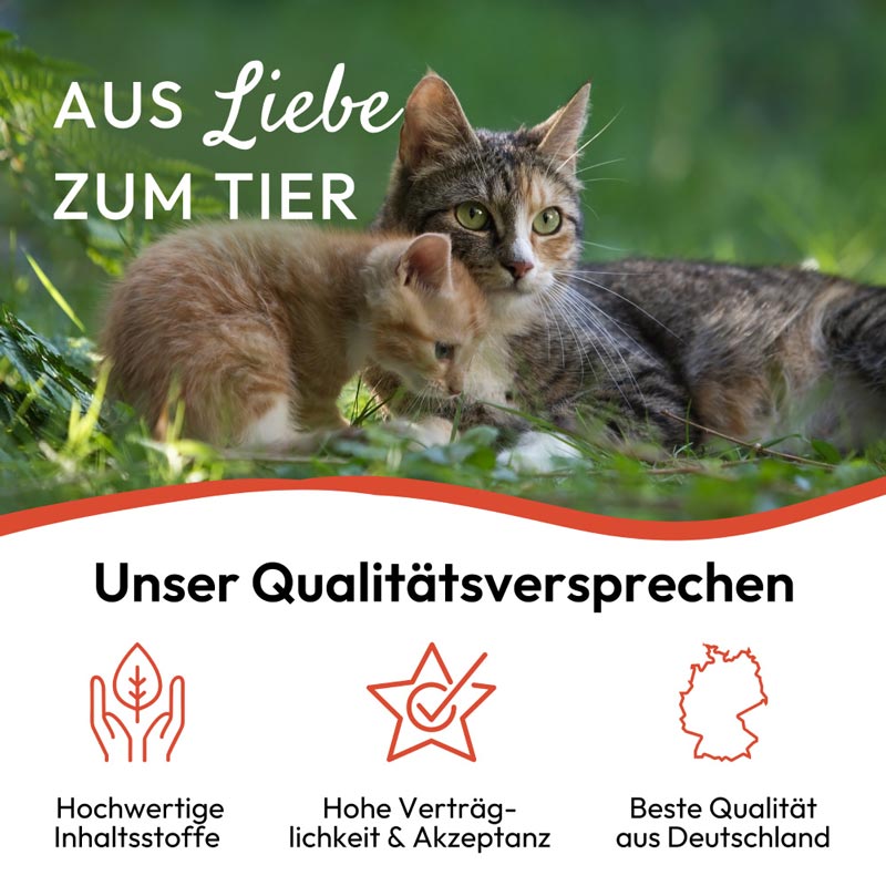 PHA Spot-on Tropfen für Katzen 2X1.5 ml Tropfen