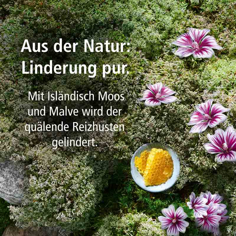 KLOSTERFRAU Bronchial-Husten-Sirup 133 g Sirup