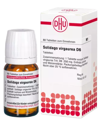 SOLIDAGO VIRGAUREA D 6  80 St Tabletten