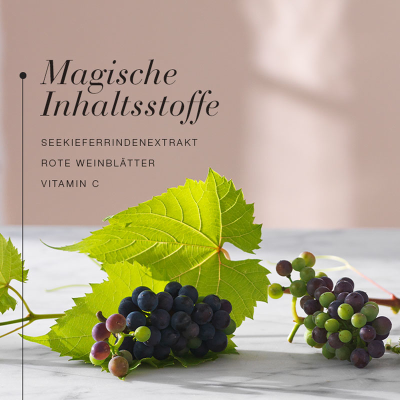 Vitale Beine Venenfunktion 60 St Tabletten