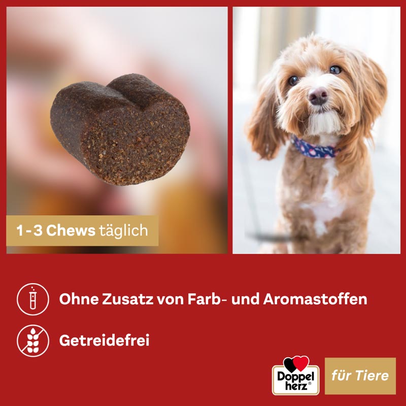 Doppelherz Haut & Fell Complex für Hunde 30 St Kautabletten