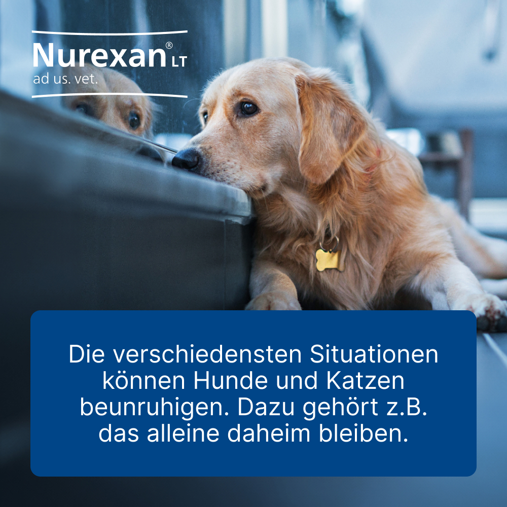 Nurexan LT ad us. vet. 100 St Tabletten