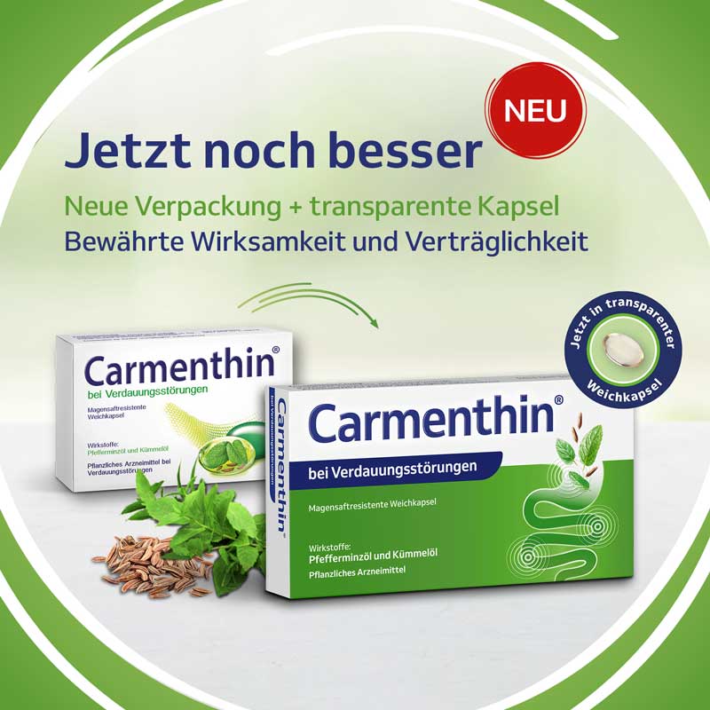 Carmenthin bei Verdauungsstörungen  42 St Magensaftresistente Weichkapseln