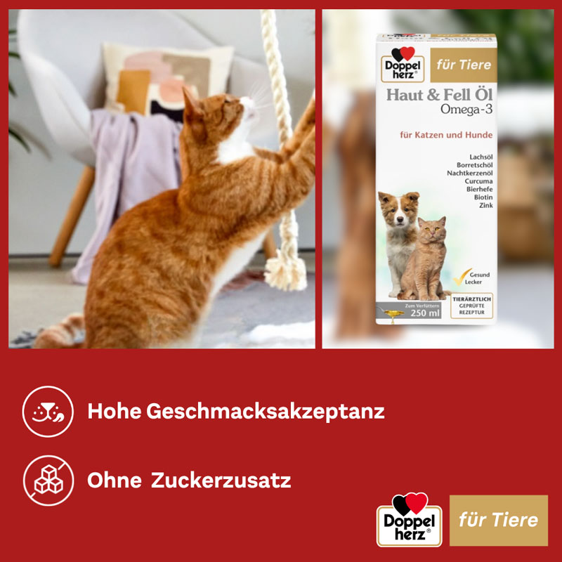 Doppelherz Haut & Fell Öl Omega-3 für Katzen und Hunde 250 ml Flüssigkeit