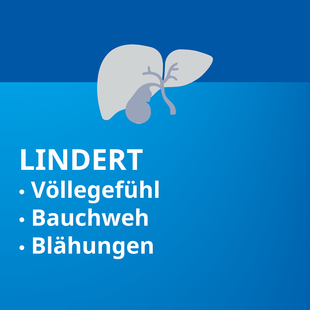 Heparstad 400mg 100 St Hartkapseln