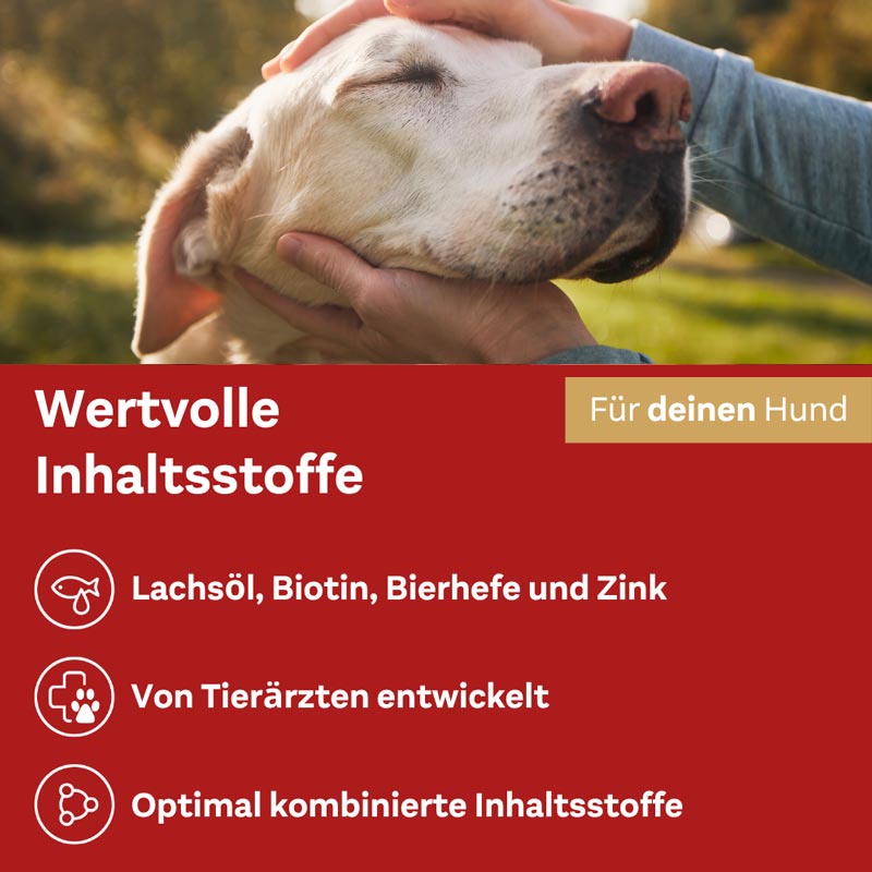 Doppelherz Haut & Fell Complex für Hunde 30 St Kautabletten