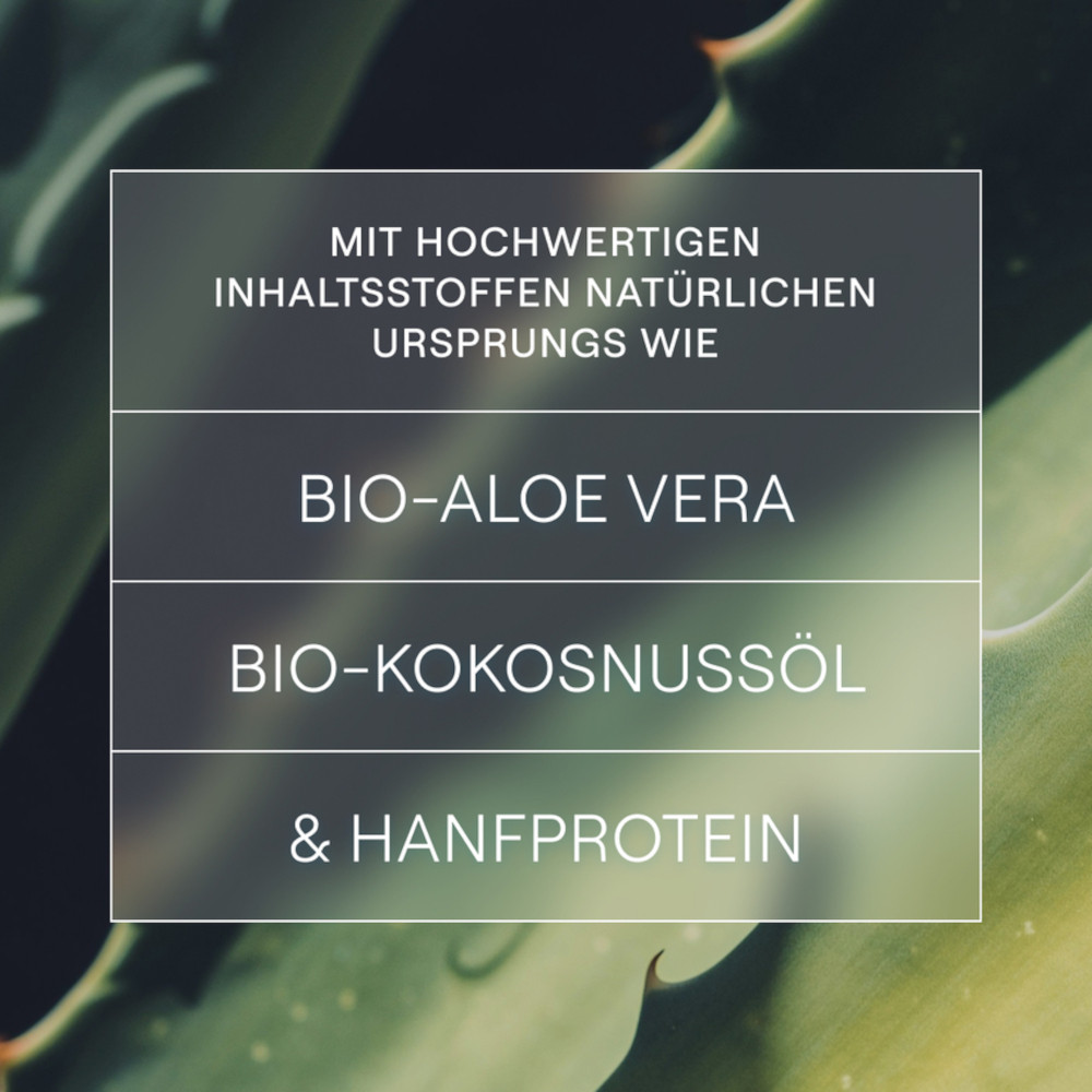 WELEDA FESTES SHAMPOO FEUCHTIGKEIT & GLANZ 50 g Shampoo