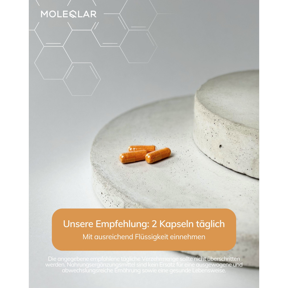 MOLEQLAR LONGEVITY CURCUSOME CURCUMIN COMPLEX  60 St Kapseln