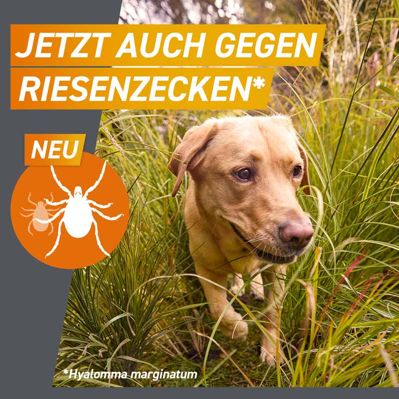 FRONTPRO Kautablette 3 Stk. gegen Zecken und Flöhe für Hunde (>4-10kg) 3 St Kautabletten