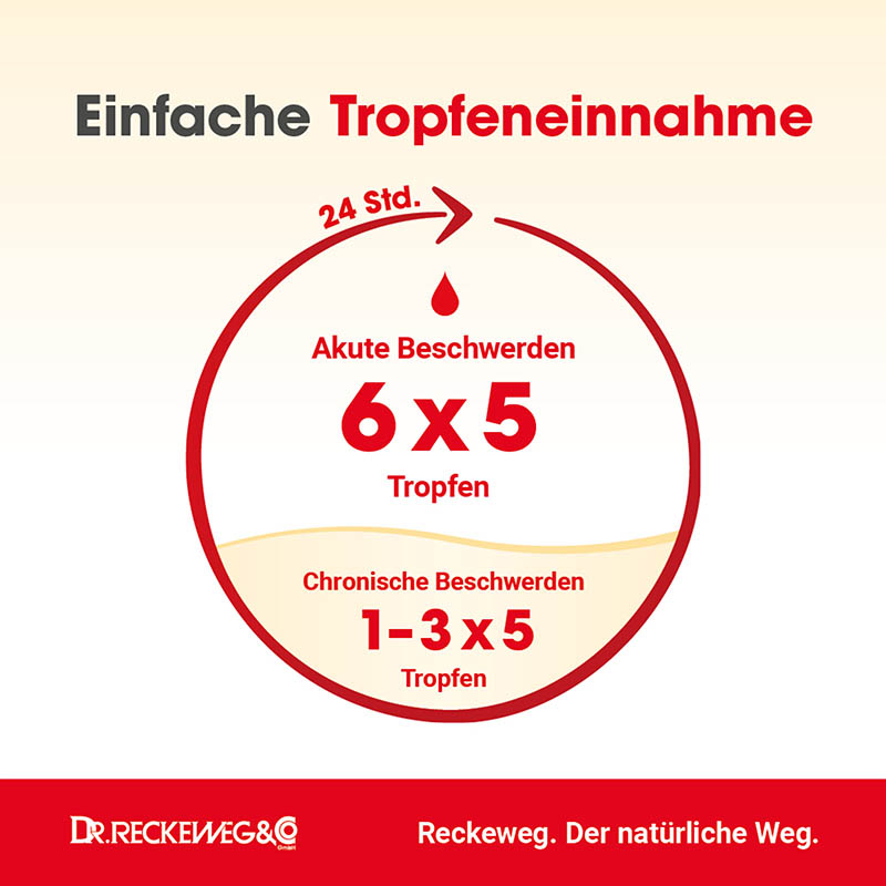 HAEMORRHOID Gastreu N R13 Tropfen zum Einnehmen 22 ml Mischung