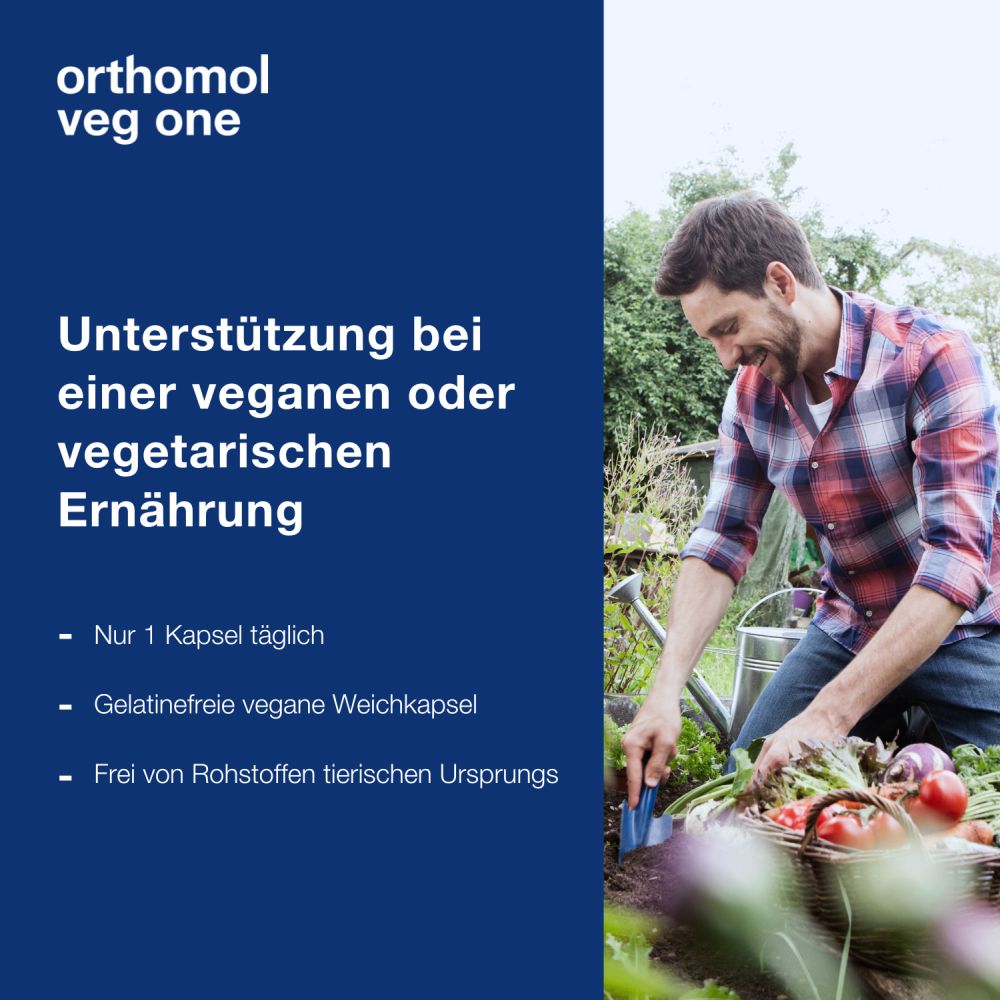 orthomol veg one - unterstützt bei veganer oder vegetarischer Ernährung - mit Vitamin D, Omega-3-Fettsäure und Eisen - Kapseln