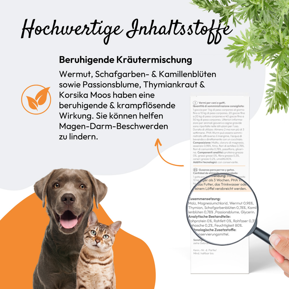 PHA Wurm für Hunde und Katzen 50 ml Tropfen