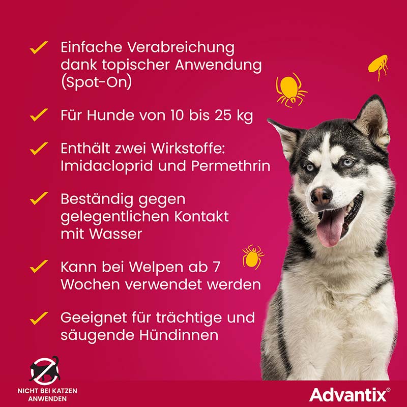 ADVANTIX SPOT-ON HUND 10-25KG 4 St Lösung