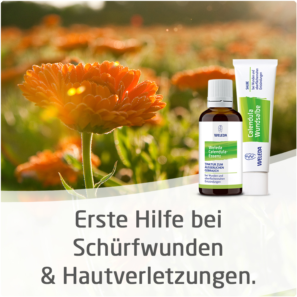WELEDA Calendula Wundsalbe 70 g Salbe