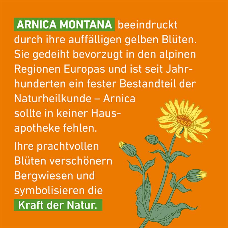 Arnica D12 Globuli Pflüger 10 g Globuli