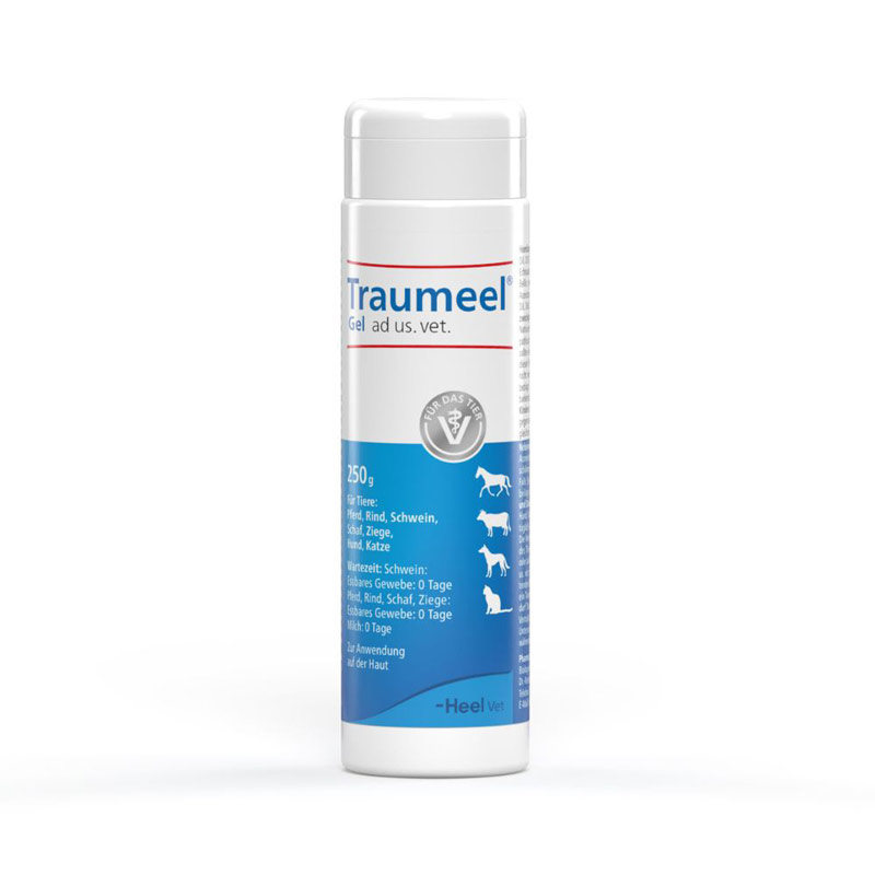 Traumeel Gel ad us. vet. 1X250 g Gel