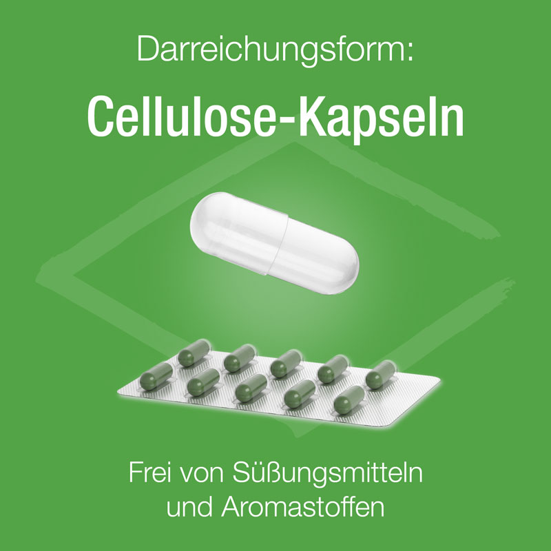 Melisse Verla purKaps 30 St Kapseln