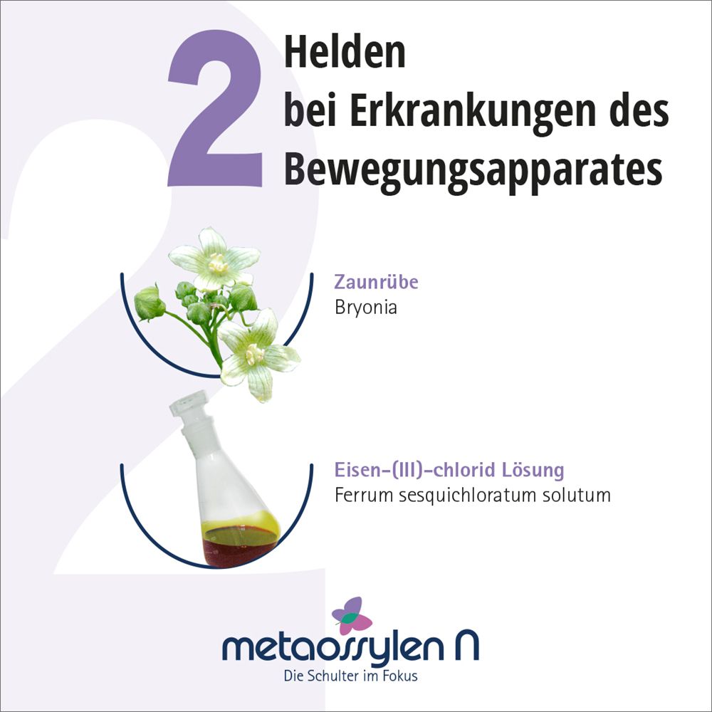 METAOSSYLEN N Tropfen zum Einnehmen 100 ml Mischung